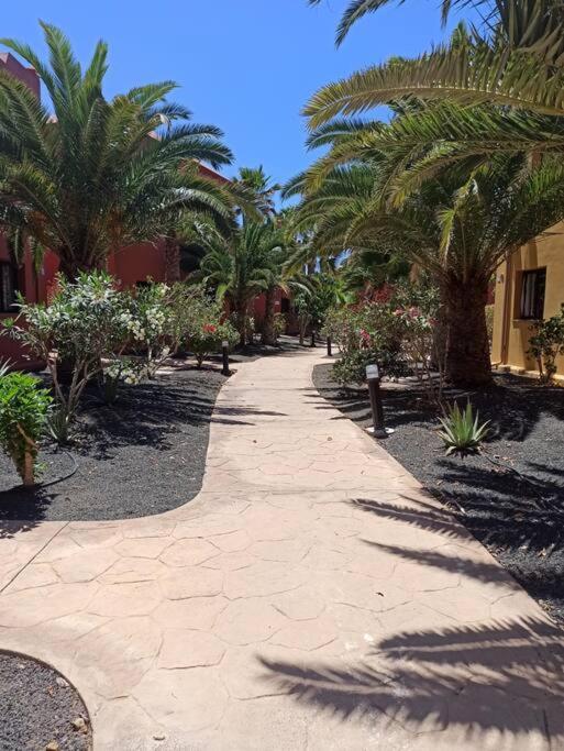 Apartment Cumbre Vieja Fuerteventura Corralejo Zewnętrze zdjęcie
