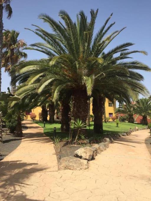 Apartment Cumbre Vieja Fuerteventura Corralejo Zewnętrze zdjęcie