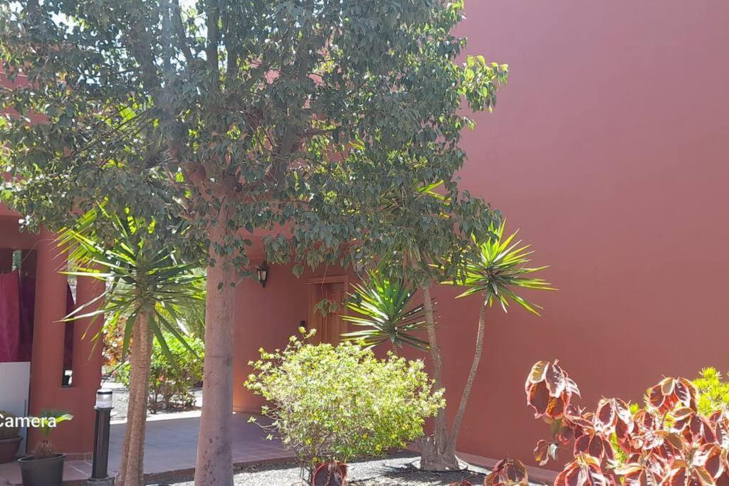 Apartment Cumbre Vieja Fuerteventura Corralejo Zewnętrze zdjęcie