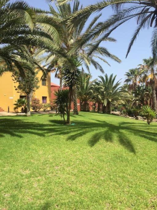 Apartment Cumbre Vieja Fuerteventura Corralejo Zewnętrze zdjęcie