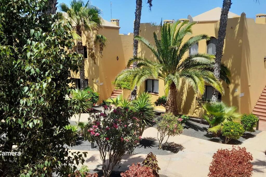 Apartment Cumbre Vieja Fuerteventura Corralejo Zewnętrze zdjęcie